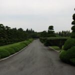 2-Day Busan City Tour Package - Authentic Travel Experience: What Past Travelers Say