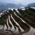2 Day Guilin Highlights Li River Cruise and Longji Terraces Tour - Why Travelers Rate This Tour a Perfect 5