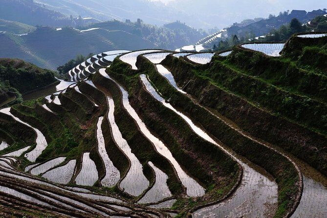 2 Day Guilin Highlights Li River Cruise and Longji Terraces Tour - Why Travelers Rate This Tour a Perfect 5