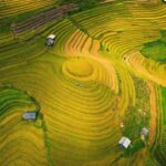 2-Day Motorbike Tour to Mu Cang Chai Loop from Sapa - Who Should Consider This Tour?