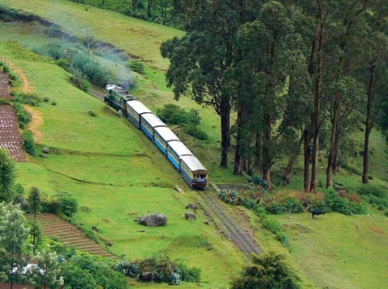 2-Day Ooty and Coonoor Sightseeing Tour - The Itinerary Breakdown: What You Can Expect