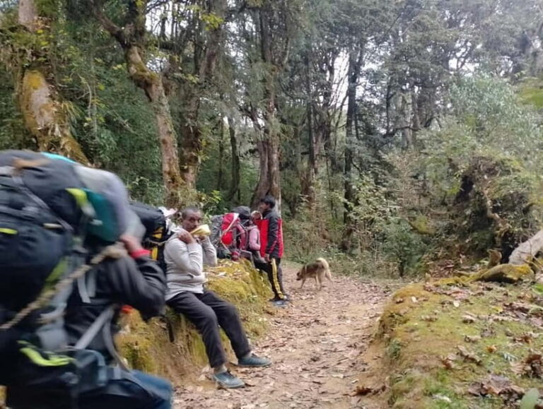 2-Day Poon Hill Hike: Catch the Best Sunrise in Nepal - What’s Included and What to Expect