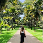 2 Day Tour: Kandy, Ambuluwawa and Sigiriya - The Transport and Flexibility