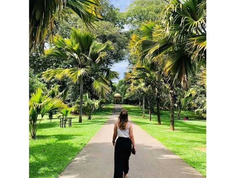 2 Day Tour: Kandy, Ambuluwawa and Sigiriya - The Transport and Flexibility