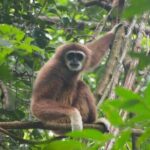 2 Days 1 Night Ethical Jungle Trekking - The Value of This Trek