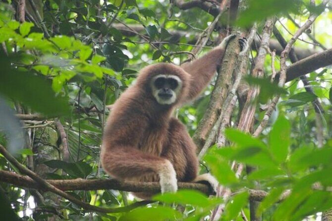 2 Days 1 Night Ethical Jungle Trekking - The Value of This Trek