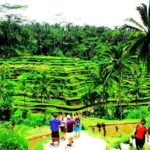 2 Days Best of Bali Famous Tour Packages - An In-Depth Look at the 2-Day Bali Tour Itinerary