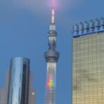 2 Days Tokyo & Mt Fuji Customizable tour with English Driver - What You Can Expect on Each Day