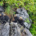 3-Day Discover the most stunning Cat Ba Island - Lan Ha Bay - What You Can Expect During Your Trip