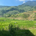 3-Day Sa Pa Trek: Villages, Rice Terraces & Bamboo Forest - The Itinerary Breakdown