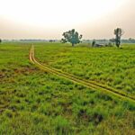 3 Nights 4 Days Chitwan National Park with Tower Night Stay - Accommodations & Activities in Detail