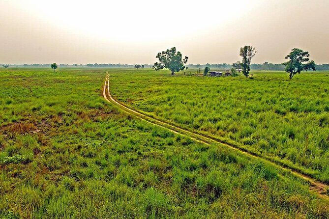 3 Nights 4 Days Chitwan National Park with Tower Night Stay - Accommodations & Activities in Detail