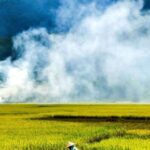 3D2N Mai Chau - Pu Luong from rice valley to nature reserve - An In-Depth Look at the Tour Itinerary