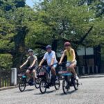 3h Tokyo E-Bike Tour: Hidden Gems, and Local Life with guide - What Makes This Tour Stand Out