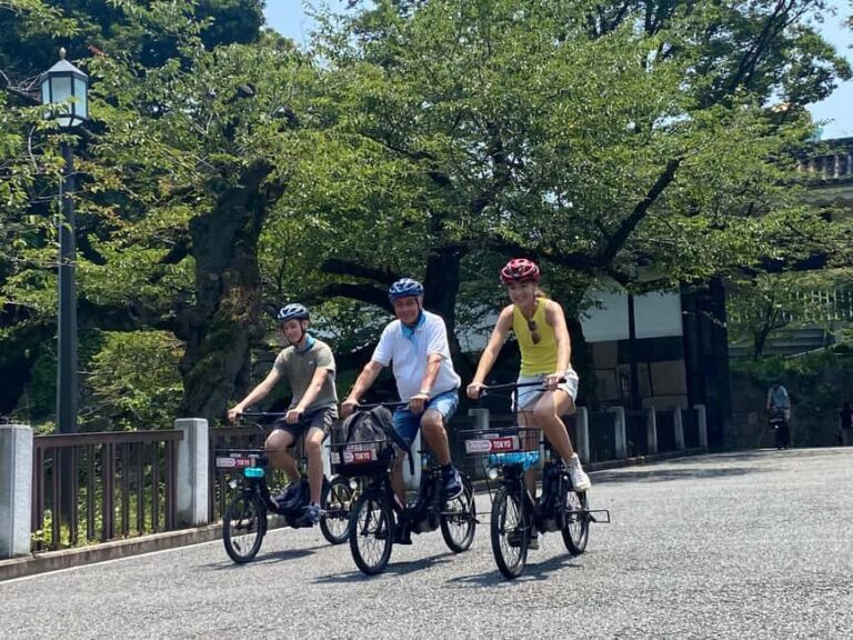 3h Tokyo E-Bike Tour: Hidden Gems, and Local Life with guide - What Makes This Tour Stand Out