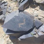 4 day Gobi in express short time - Final Thoughts