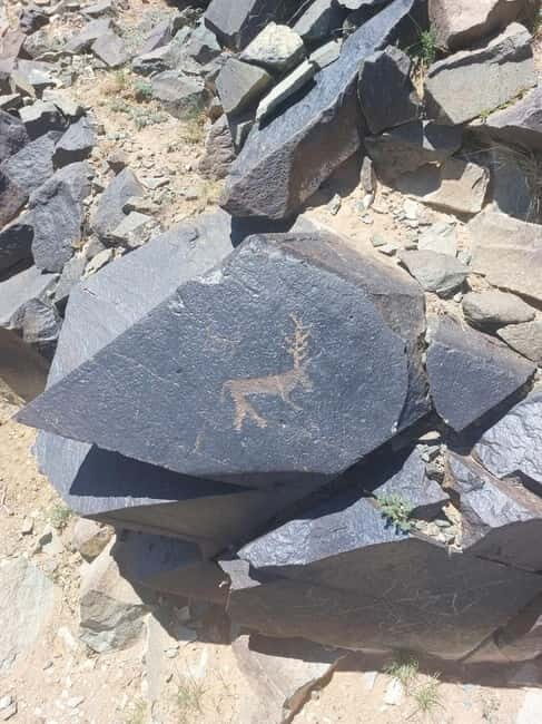 4 day Gobi in express short time - Final Thoughts