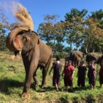 5 Day Tuk Tuk Adventure in Chiang Mai - with driver - Frequently Asked Questions