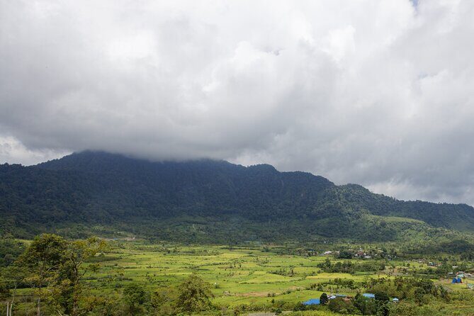 6 Days Bukit Lawang - Berastagi Tour (2D1N Jungle Treking + Sunrise Hiking) - Transportation and Logistics