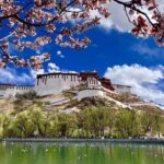6 Days Central Tibet Culture Small Group Tour - Day 1: Arrival and Relaxation in Lhasa