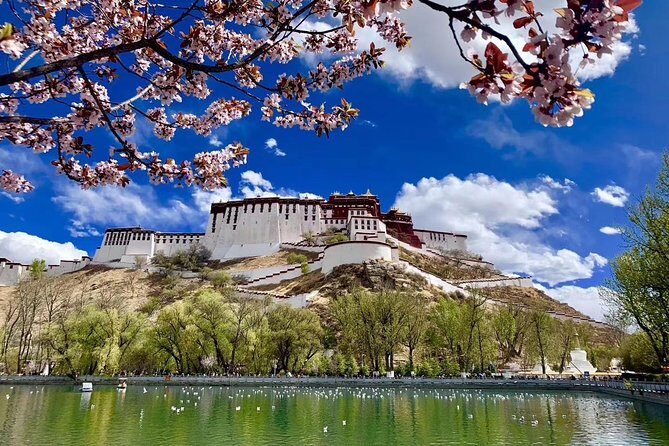 6 Days Central Tibet Culture Small Group Tour - Day 1: Arrival and Relaxation in Lhasa