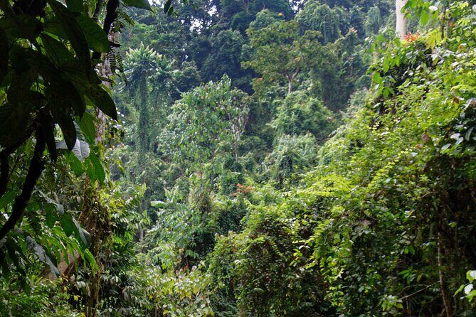 7 Days 6 Nights North Sumatra Tour (Bukit Lawang-Berastagi-Lake Toba) - What Makes This Tour Stand Out?