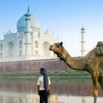 Agra: 3-Hour Private Guided Walking Tour of the Taj Mahal - An In-Depth Look at the 3-Hour Taj Mahal Walking Tour
