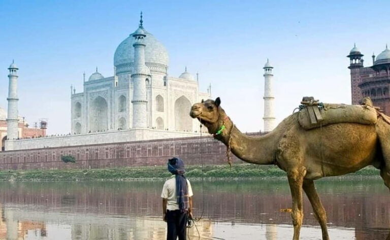 Agra: 3-Hour Private Guided Walking Tour of the Taj Mahal - An In-Depth Look at the 3-Hour Taj Mahal Walking Tour