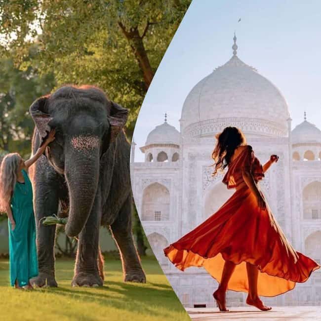 Agra: Skip the Line Taj Mahal & Elephant SOS Tour with Lunch - What Sets This Tour Apart?