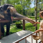 Agra: Taj Mahal, Agra Fort & SOS Wildlife Sanctuary Tour - Practical Details and Tips