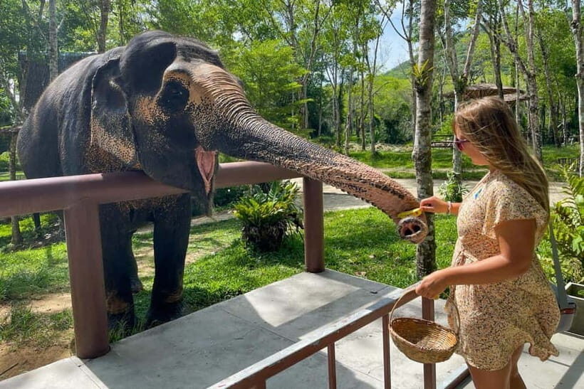 Agra: Taj Mahal, Agra Fort & SOS Wildlife Sanctuary Tour - Practical Details and Tips