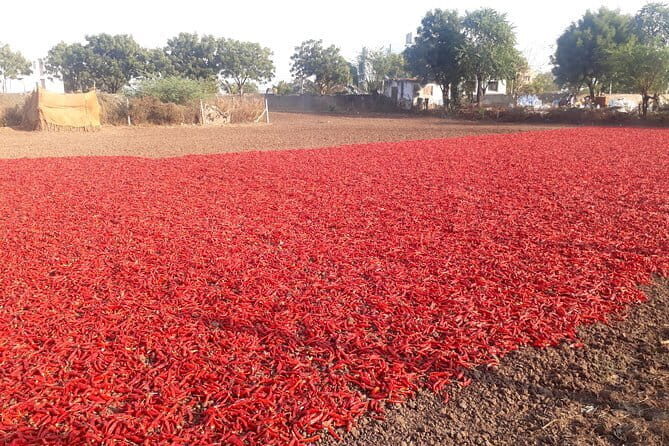 Agra To Bharatpur Same Day Tour with Fatehpur Sikri - Who Will Love This Tour?