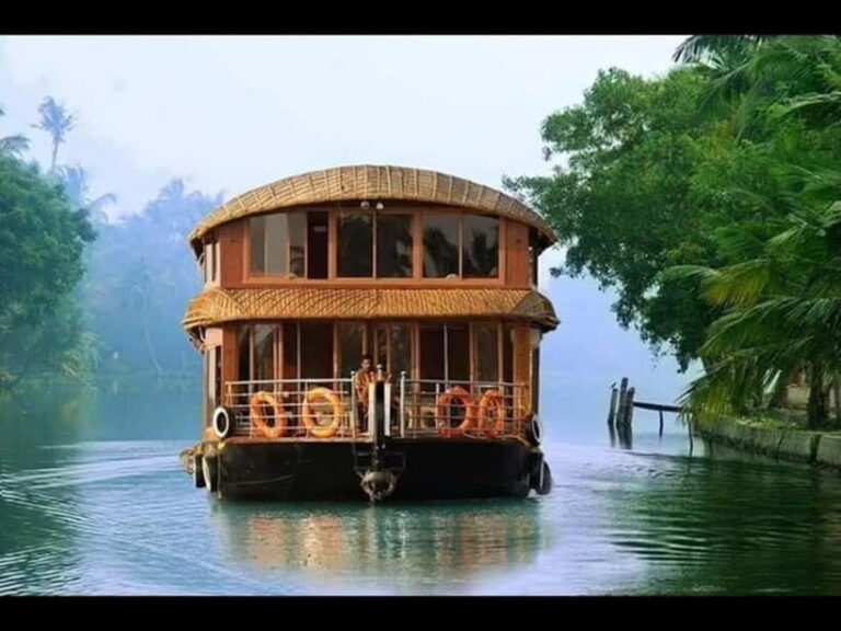 Alappuzha: Private Backwater Cruising & Walking in Alleppey - Who Should Consider This Tour?