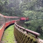 Alishan Day Tour from Chiayi (Incl. Park Entrance) - What Travelers Love About This Tour