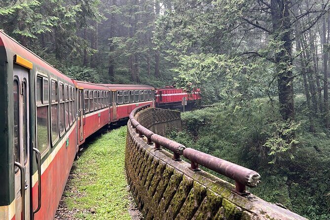 Alishan Day Tour from Chiayi (Incl. Park Entrance) - What Travelers Love About This Tour