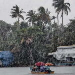 Alleppey: Kayaking and Shikkara Boat Tour with Local Meal - Who Will Love This Tour?