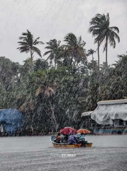 Alleppey: Kayaking and Shikkara Boat Tour with Local Meal - Who Will Love This Tour?