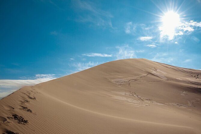 Almaty to Altyn-Emel National Park Private Tour - Why This Tour Offers Excellent Value