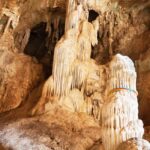 Andaman Island: Day Tour to Baratang Island - A Detailed Look at the Tour Experience