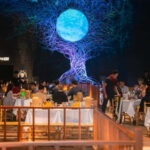 Angkor Tiger VIP Matchday & Labyrinth Dining Experience - The Detailed Breakdown: Why This Tour Stands Out