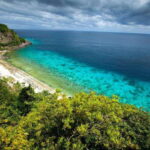 Apo Island Wonders: Snorkel with Sea Turtles in Dumaguete - Snorkeling with Sea Turtles – A Highlight