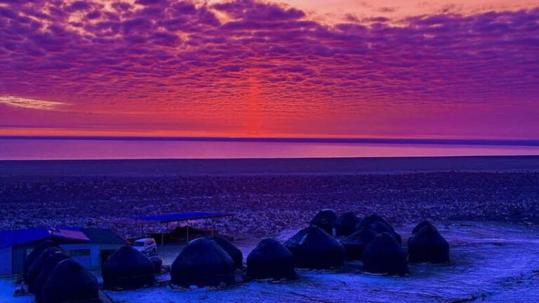 Aral Sea Tour from Nukus 1 night / 2 days - Practical Aspects