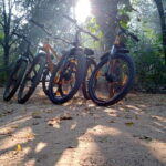 Auroville: Nature Trail Forest Cycling Adventure - Why This Tour Offers Great Value