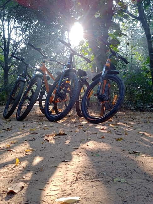 Auroville: Nature Trail Forest Cycling Adventure - Why This Tour Offers Great Value