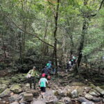 Bach Ma National Park Private Tour With Trekking, Waterfall - Who Will Love This Tour?