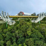 Bach Ma National Park Trekking Tour With Do Quyen Waterfall - Who Is This Tour Perfect For?