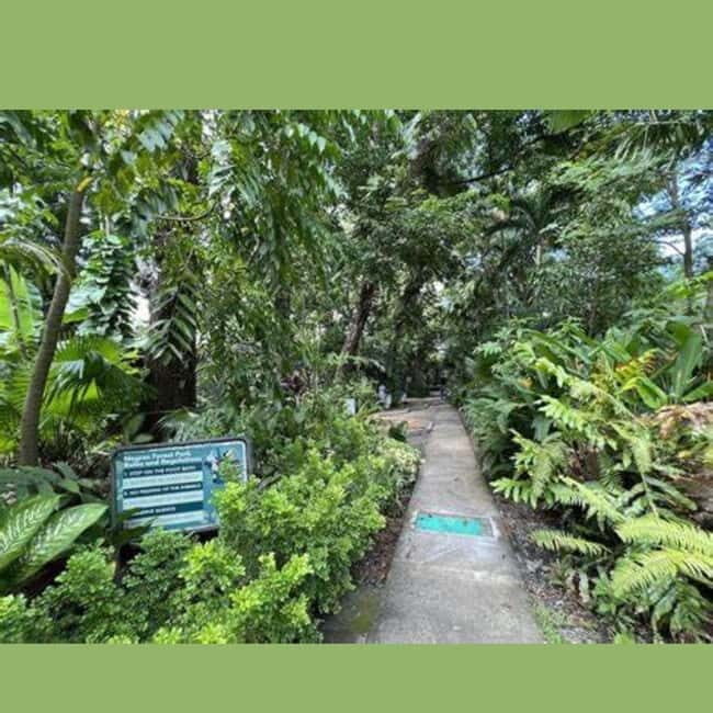 Bacolod City Tour - Practical Details and Tips