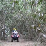 Bali Atv Riding through Cave and Waterfall - Who Would Love This Tour?