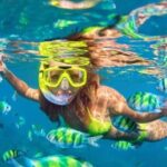 Bali Blue Lagoon Snorkeling - Lunch and Transport All Inclusive - Who Should Book This Tour?