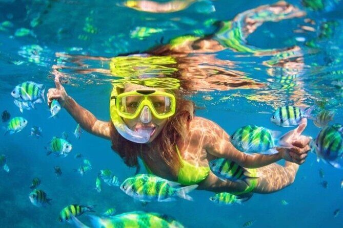 Bali Blue Lagoon Snorkeling - Lunch and Transport All Inclusive - Who Should Book This Tour?